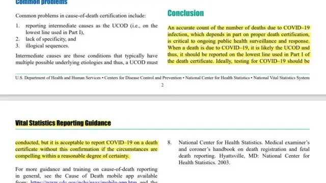 The Covid-19 Data is a â€˜Travestyâ€™ - How the UK and US Covid Death Data is Inflated - 1080p H264 AAC