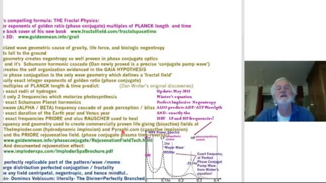 Advanced Fractal Physics and Zero Point Vacuum Coherence with Dan Winter