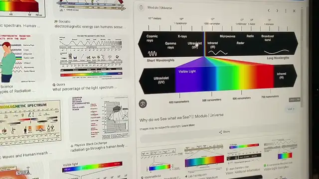 Sabrina Wallace - What Is The Global Information Grid? (Nov 29, 2023)