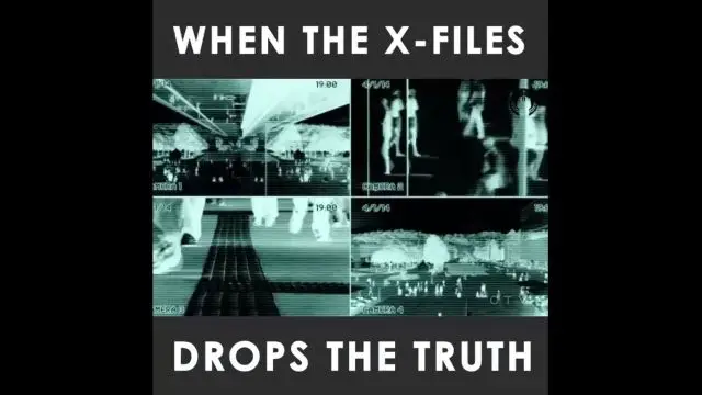 The X-Files Nailed It