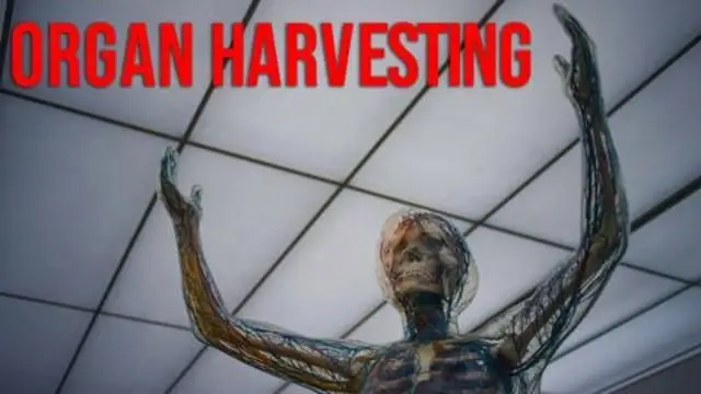 US Govt Organ Harvesting Exposed